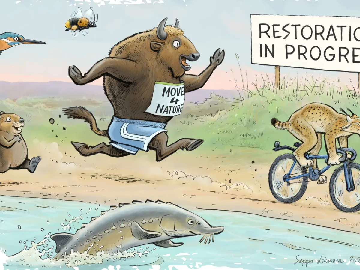 Restauration in progress - biologische Vielfalt auf Achse